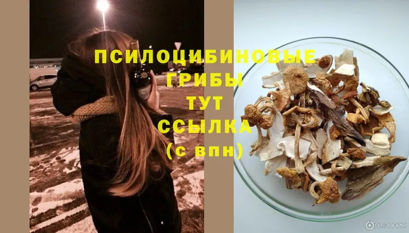 Галлюциногенные грибы Magic Shrooms  Пятигорск 